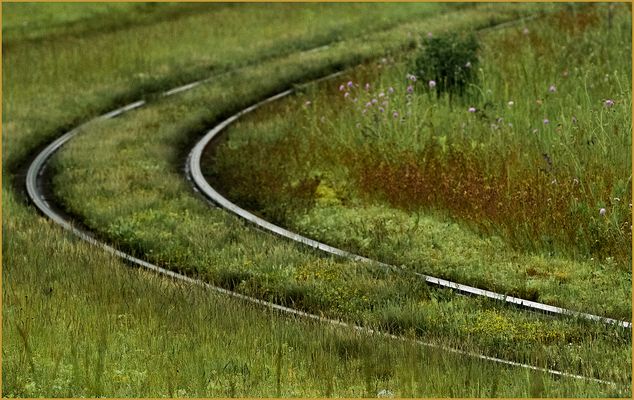 Ulm - Friedrichsau - Symbiose