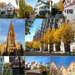 ulm im herbst