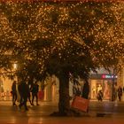 Ulm - Münsterplatz 2019 - "am Weihnachtsbaum"