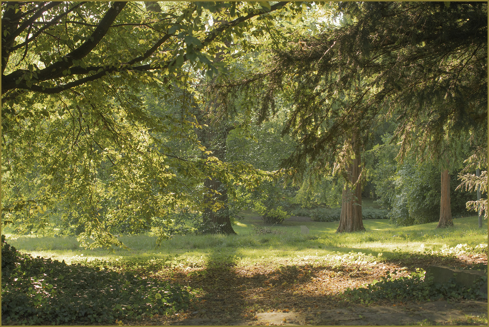 Ulm - Oststadt - Friedrichsau - "Herbstbeginn"