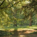 Ulm - Oststadt - Friedrichsau - "Herbstbeginn"