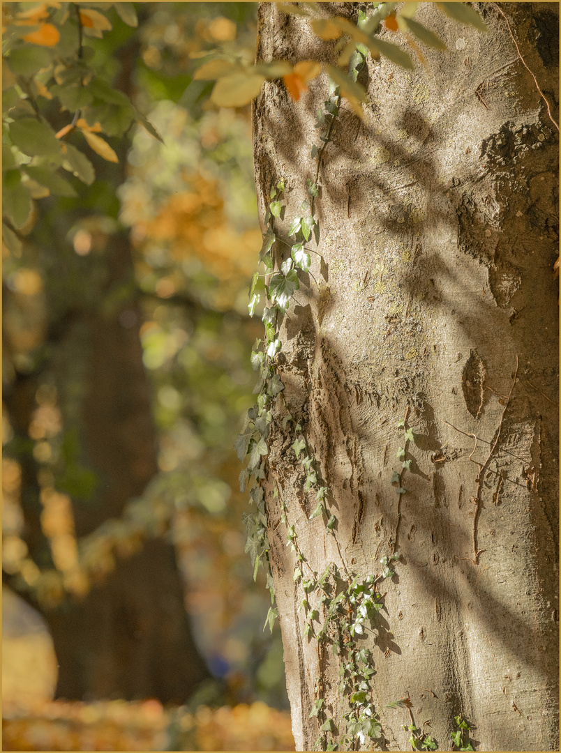 Ulm - Oststadt - Valckenburgufer - "Licht, Schatten, Farbe, Ebenen"