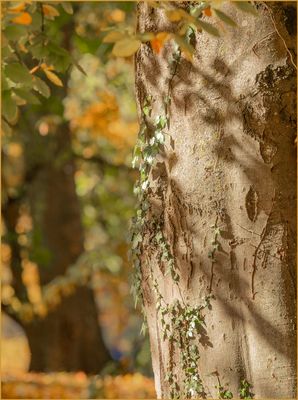 Ulm - Oststadt - Valckenburgufer - "Licht, Schatten, Farbe, Ebenen"