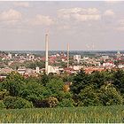 Ulm Panorama 1998