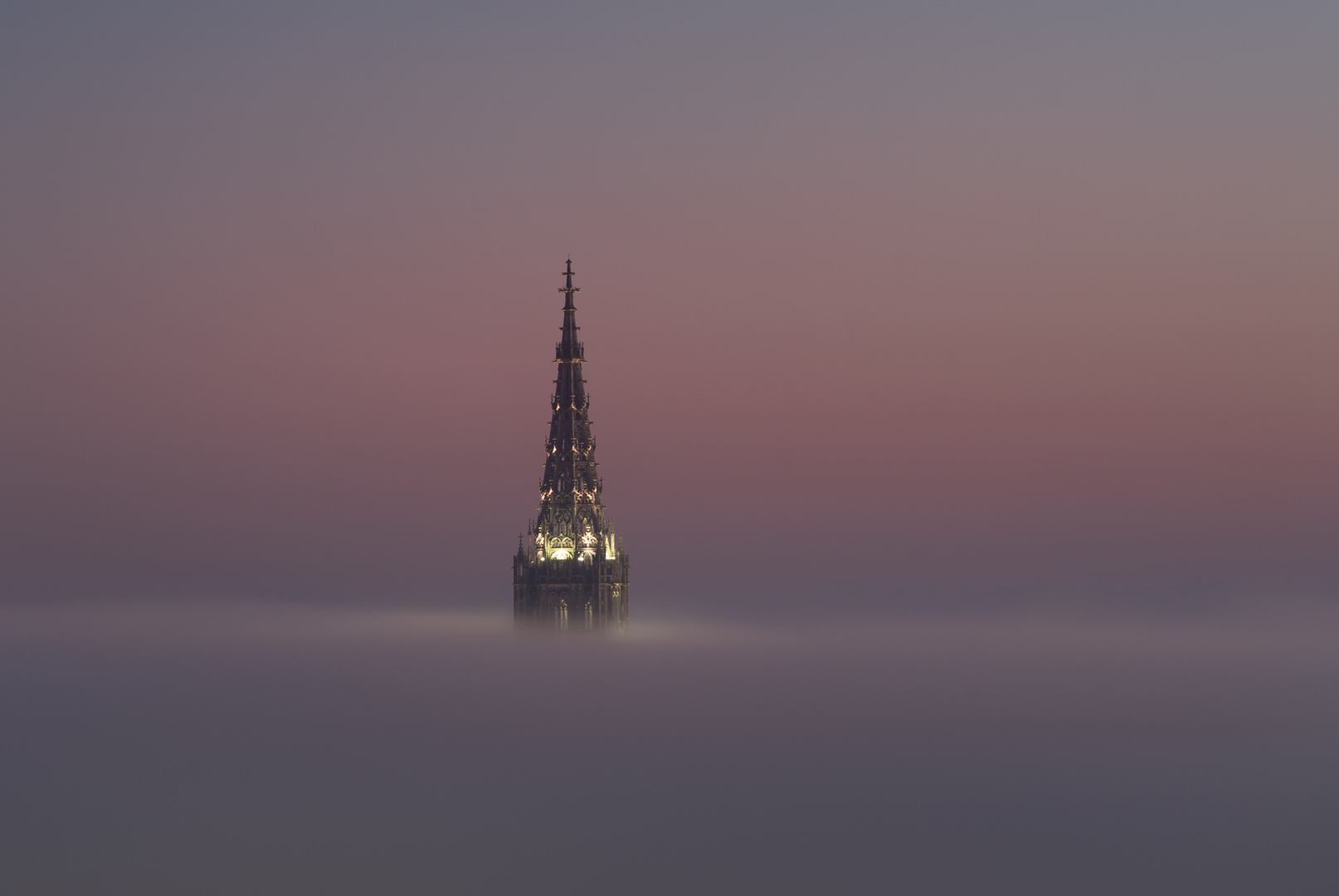 - Ulm und der Nebel -