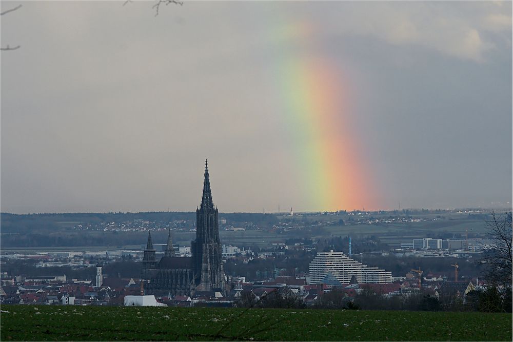 Ulm unterm Regenbogen