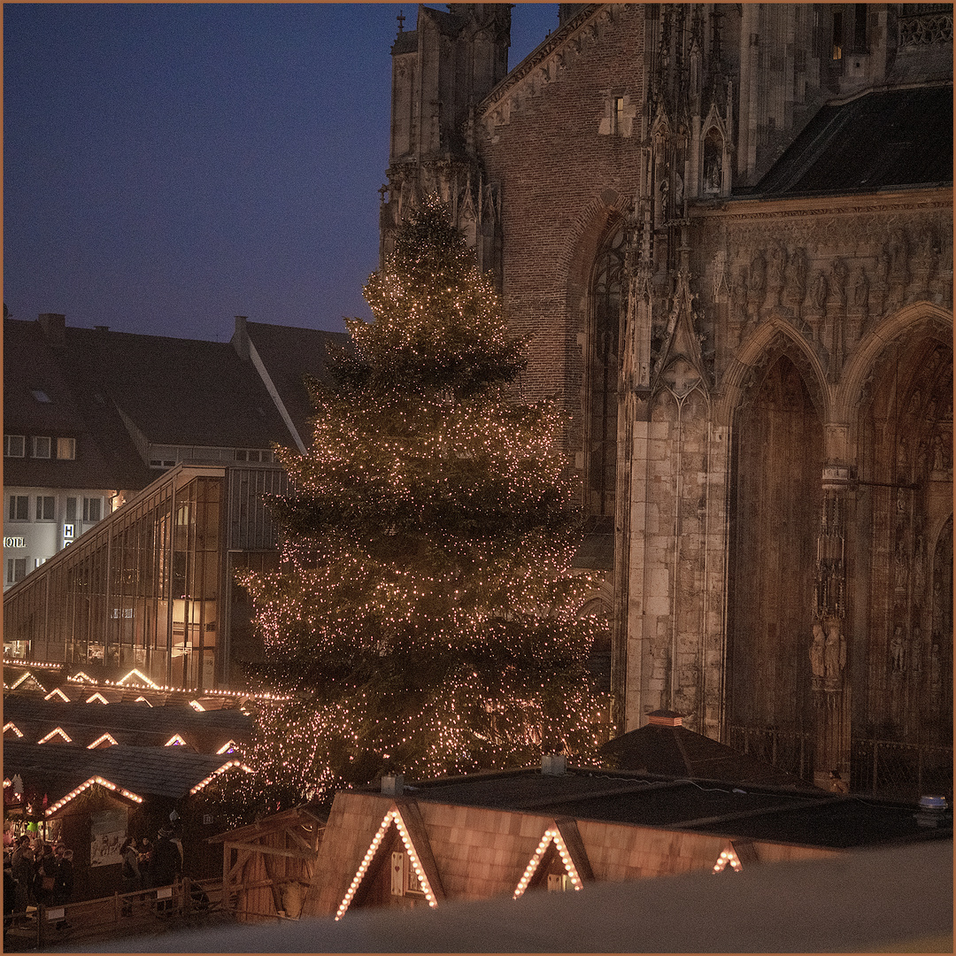 Ulm - Weihnachtsmarkt 2019 - "am Münster"