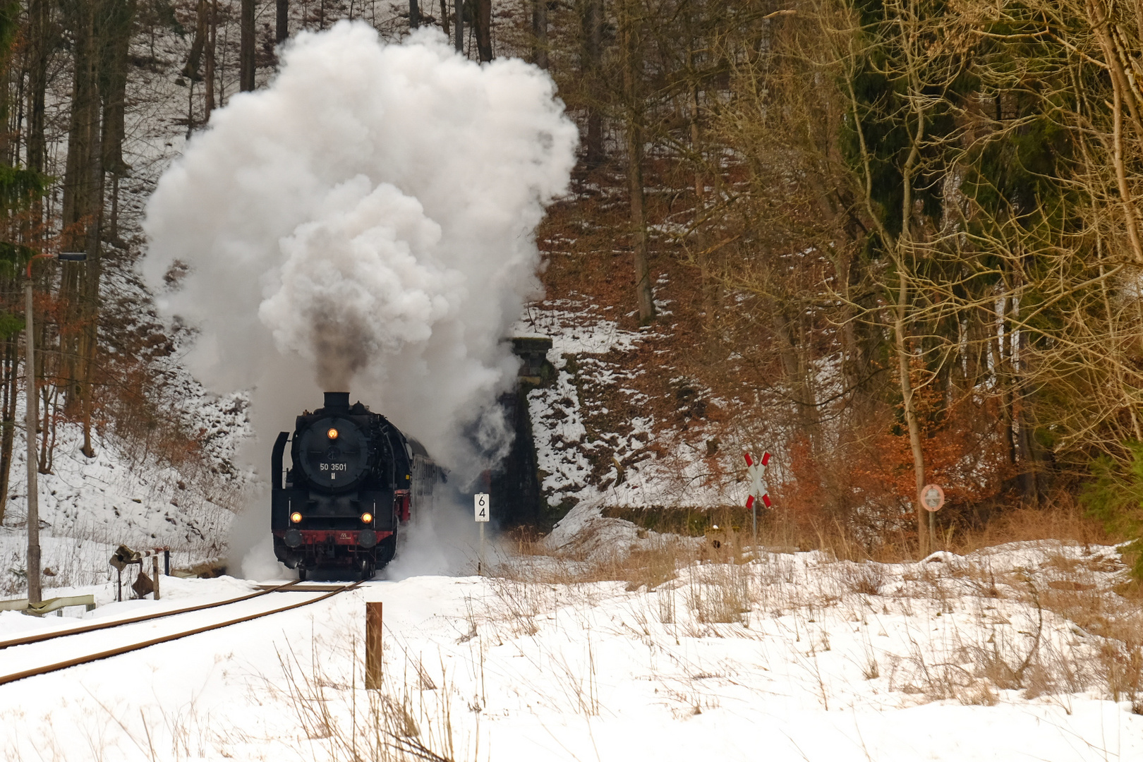 Ulmer Eisenbahnfreunde mit 50 3501