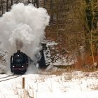 Ulmer Eisenbahnfreunde mit 50 3501