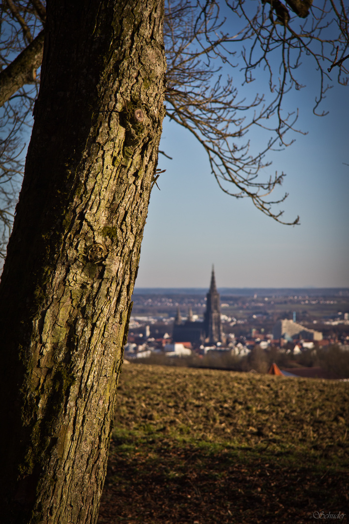 Ulmer Münster