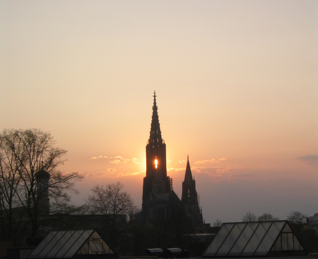 Ulmer Münster an einem schönen Abend