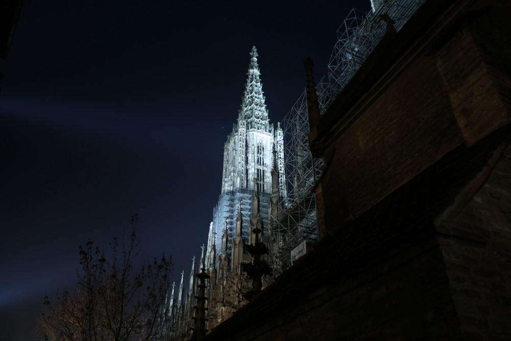 Ulmer Münster bei Nacht