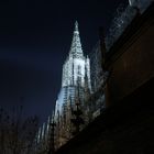 Ulmer Münster bei Nacht