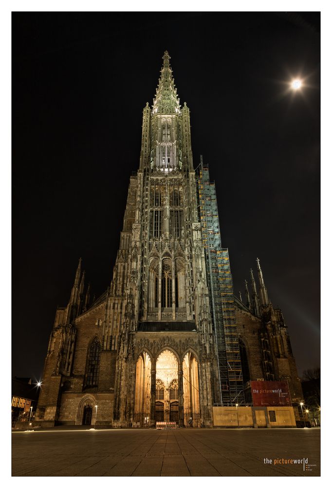 Ulmer Münster bei Nacht