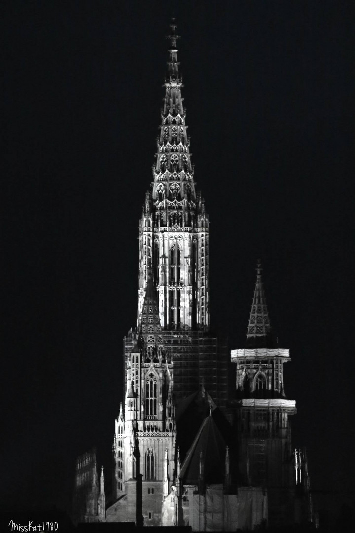 Ulmer Münster bei Nacht