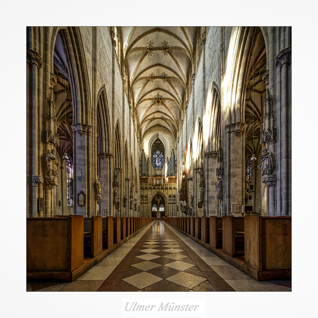 Ulmer Münster " Blick, zur Orgel ..."