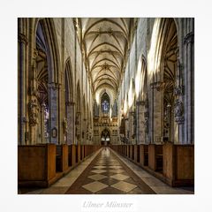 Ulmer Münster " Blick, zur Orgel ..."