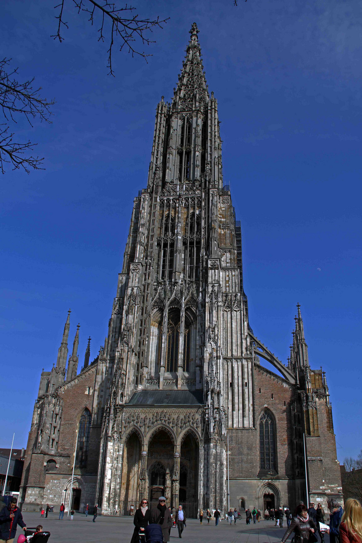 Ulmer Münster