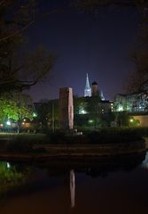 Ulmer Münster in der Nacht V