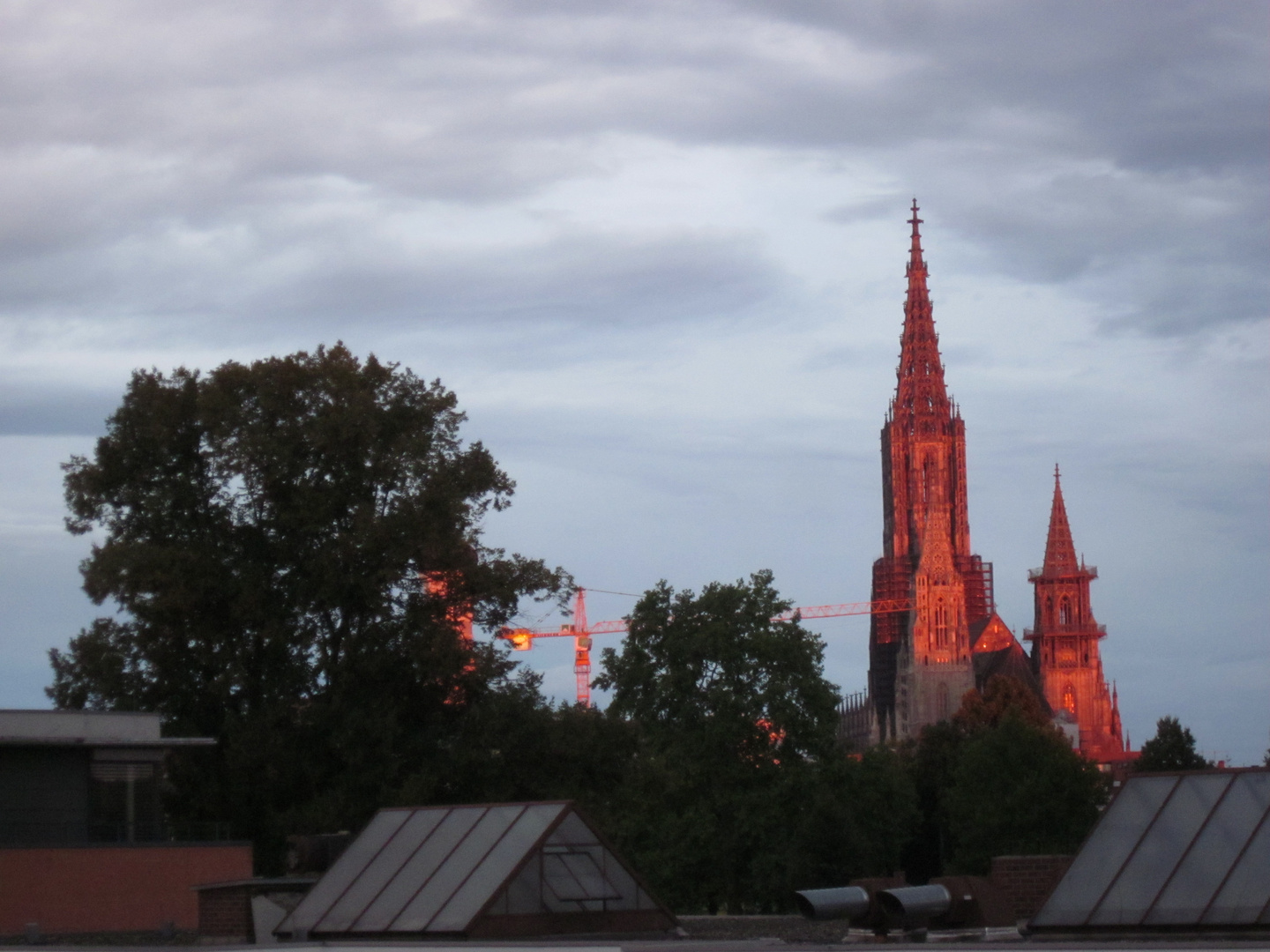 Ulmer Münster in lachs