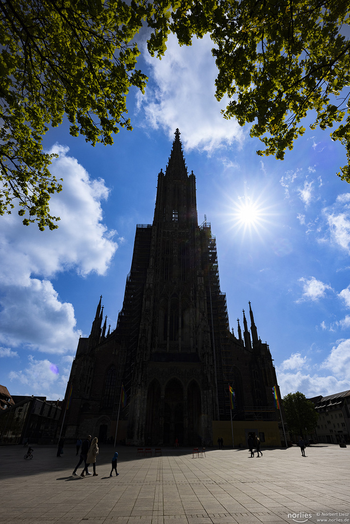 Ulmer Münster mit Sonnenstern