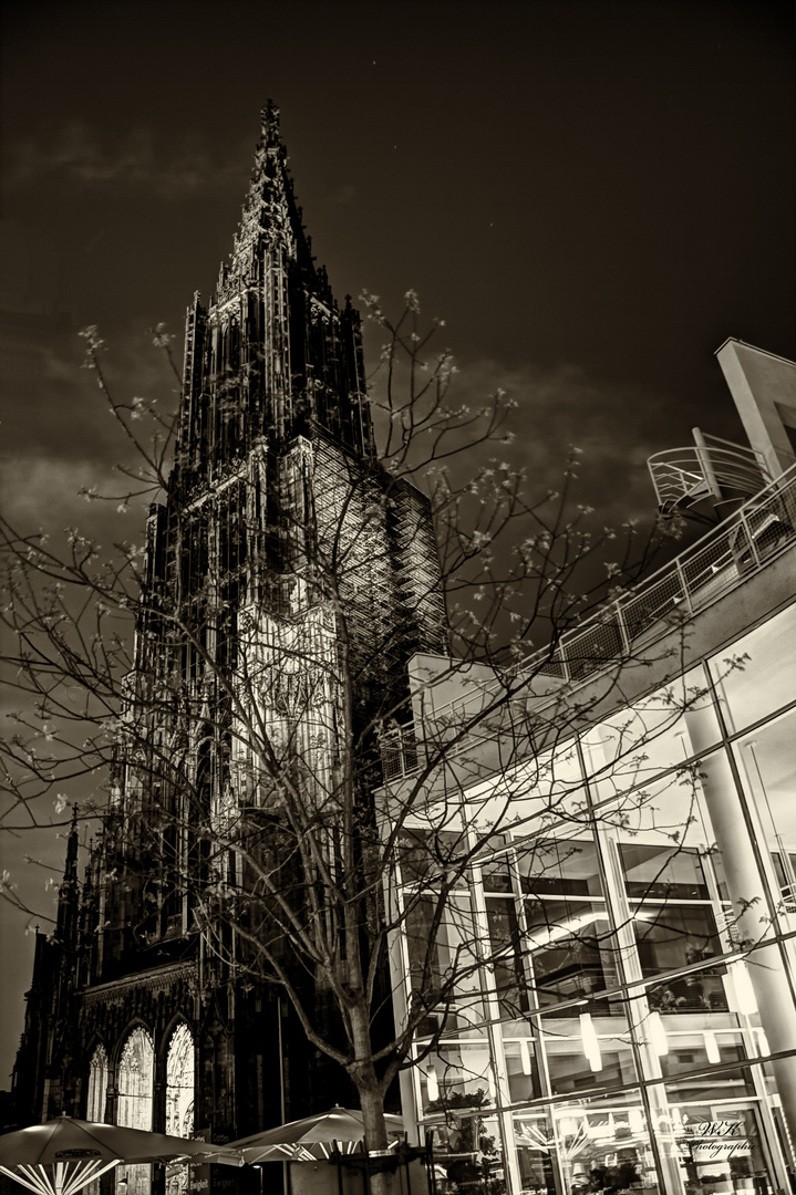 Ulmer Münster mit Stadthaus