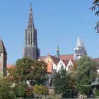 Ulmer Münster mit Stadtmauer und Metzgerturm