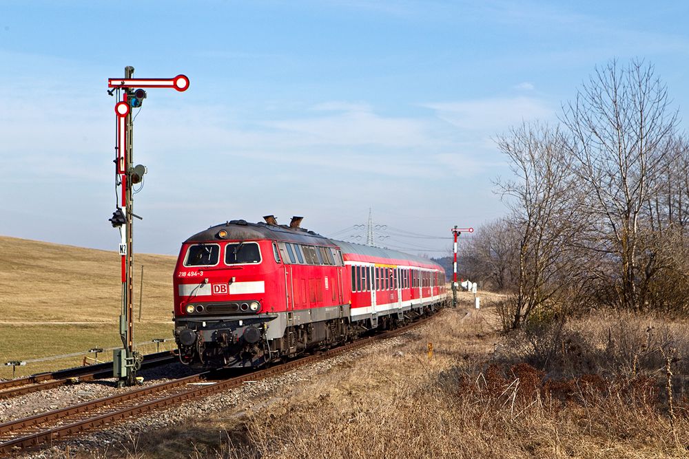 Ulmer Schwarzwalddiesel