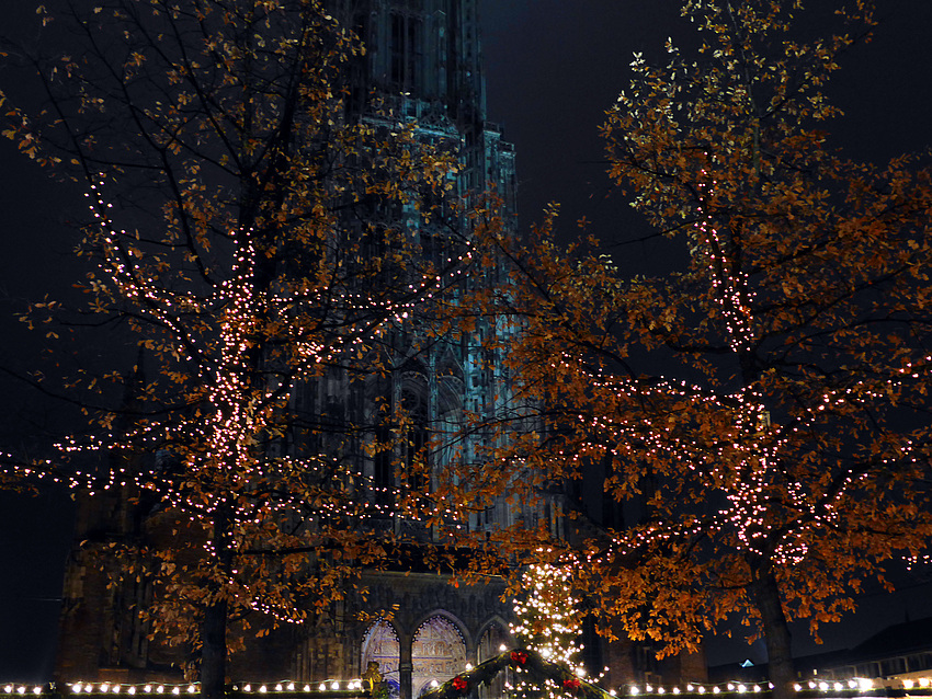 Ulmer Weihnachtsmarkt