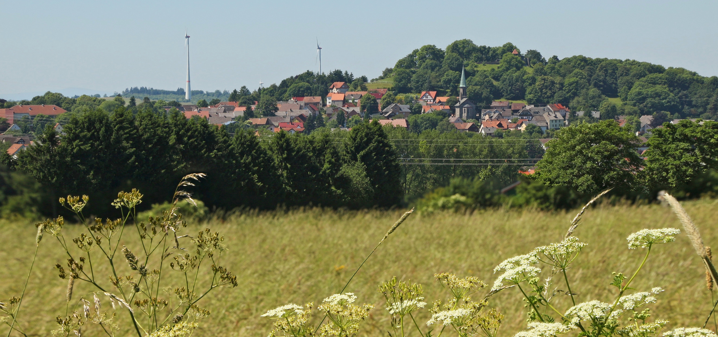 Ulrichstein (2017_06_19_EOS 100D_1727_pano_ji)