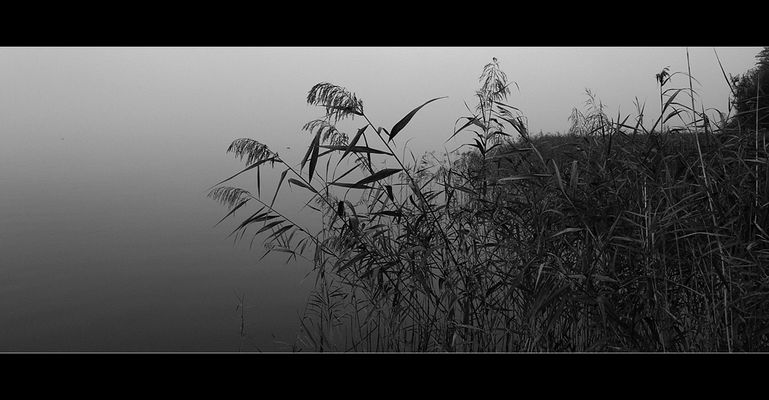 Ulrike,  verstorben    am    22.01.07