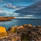 Ulster Coast