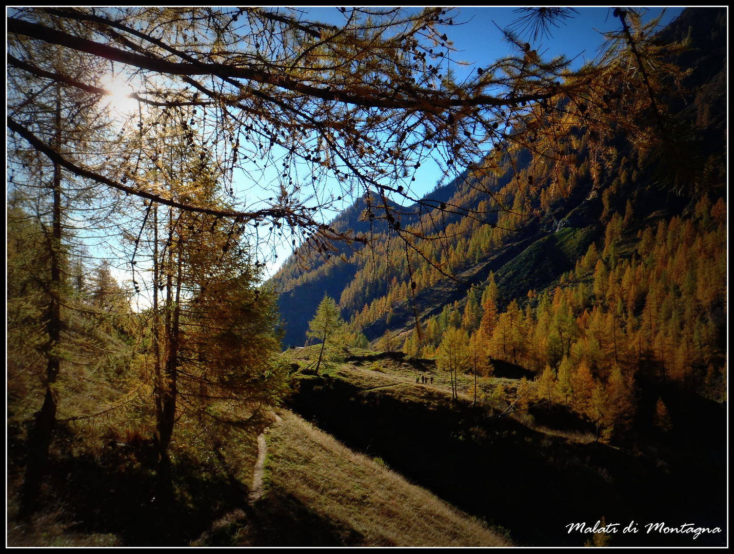 ...ultima giornata d'autunno...!?!