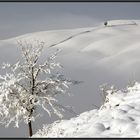 Ultima neve....