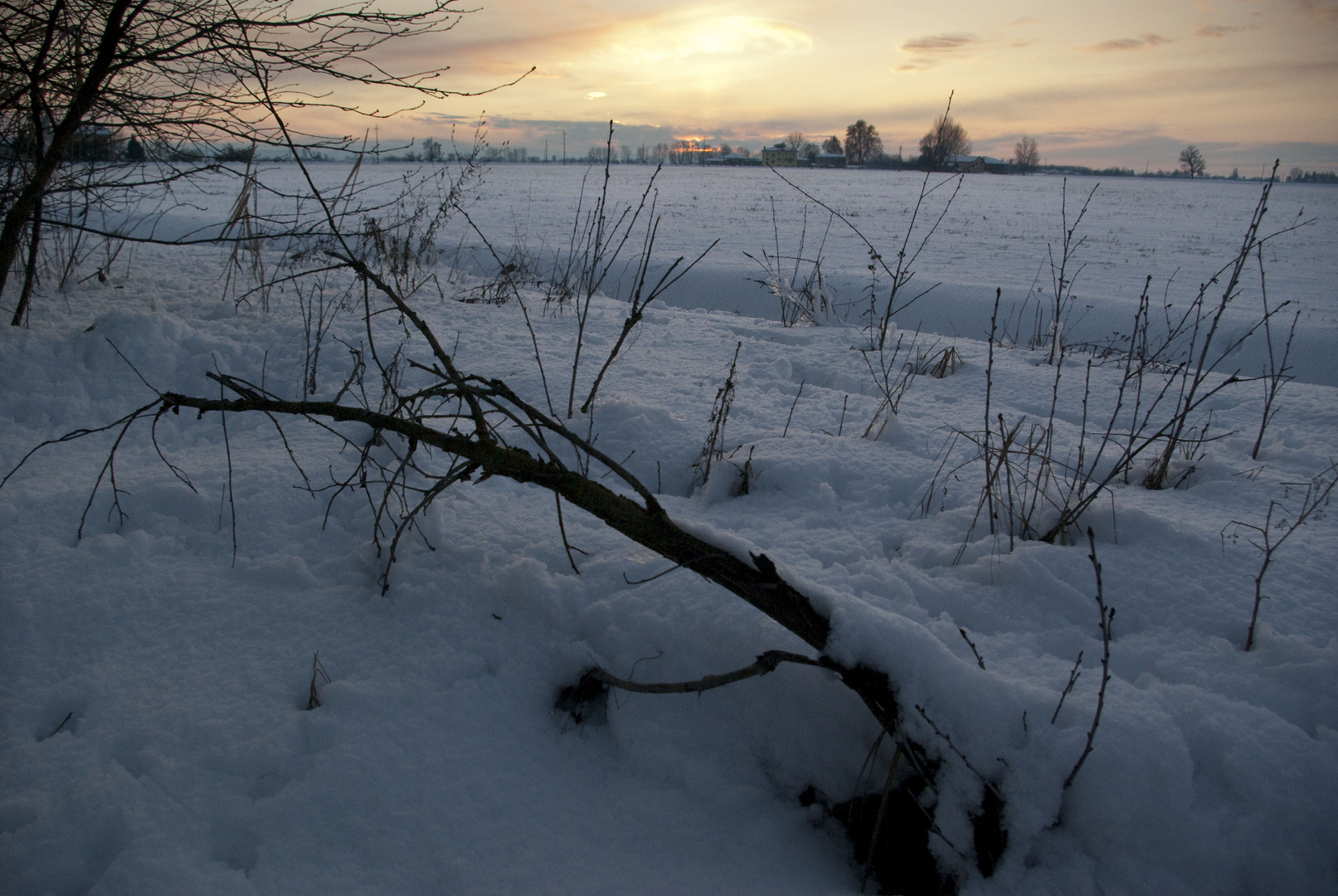 ultima neve di marzo