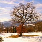 ultima neve in Romagna