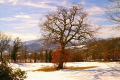 ultima neve in Romagna