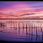 Ultimas luces en la albufera