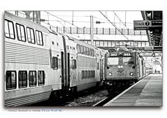 Ultimate Meatball to Amtrak: Please Wash Me!