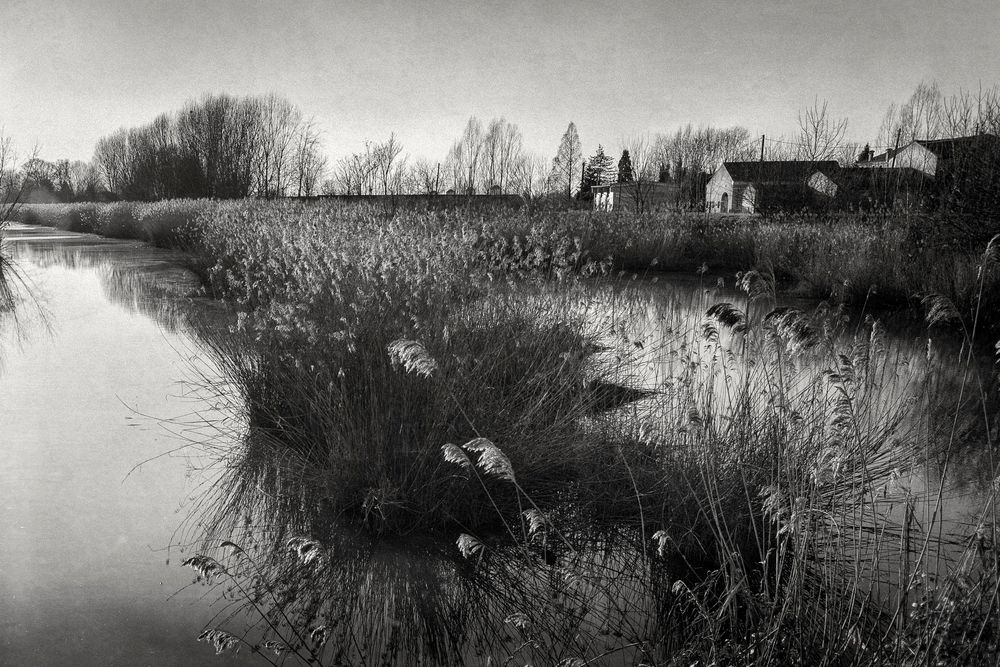 Ultime luci sul fiume Oglio