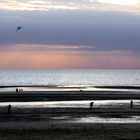 ultimes ébats sur la plage