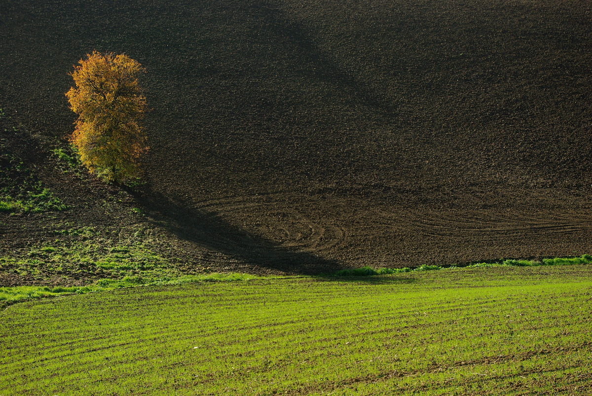 " Ultimi colori d'autunno "