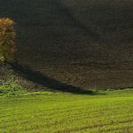 " Ultimi colori d'autunno "