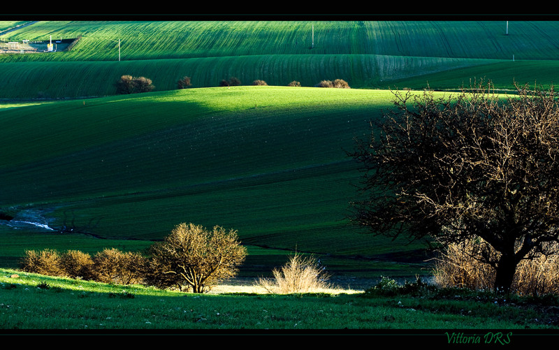 Ultimi raggi di sole