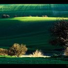 Ultimi raggi di sole