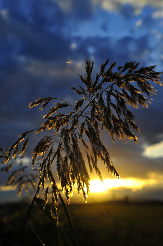 ultimi raggi di sole