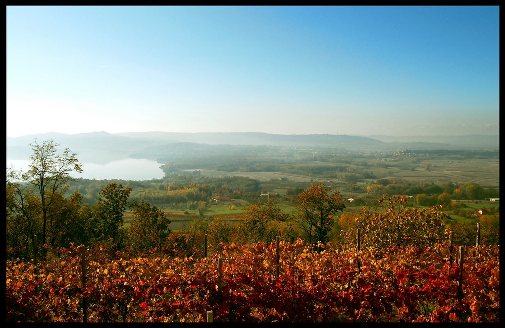 Ultimi sprazzi di autunno