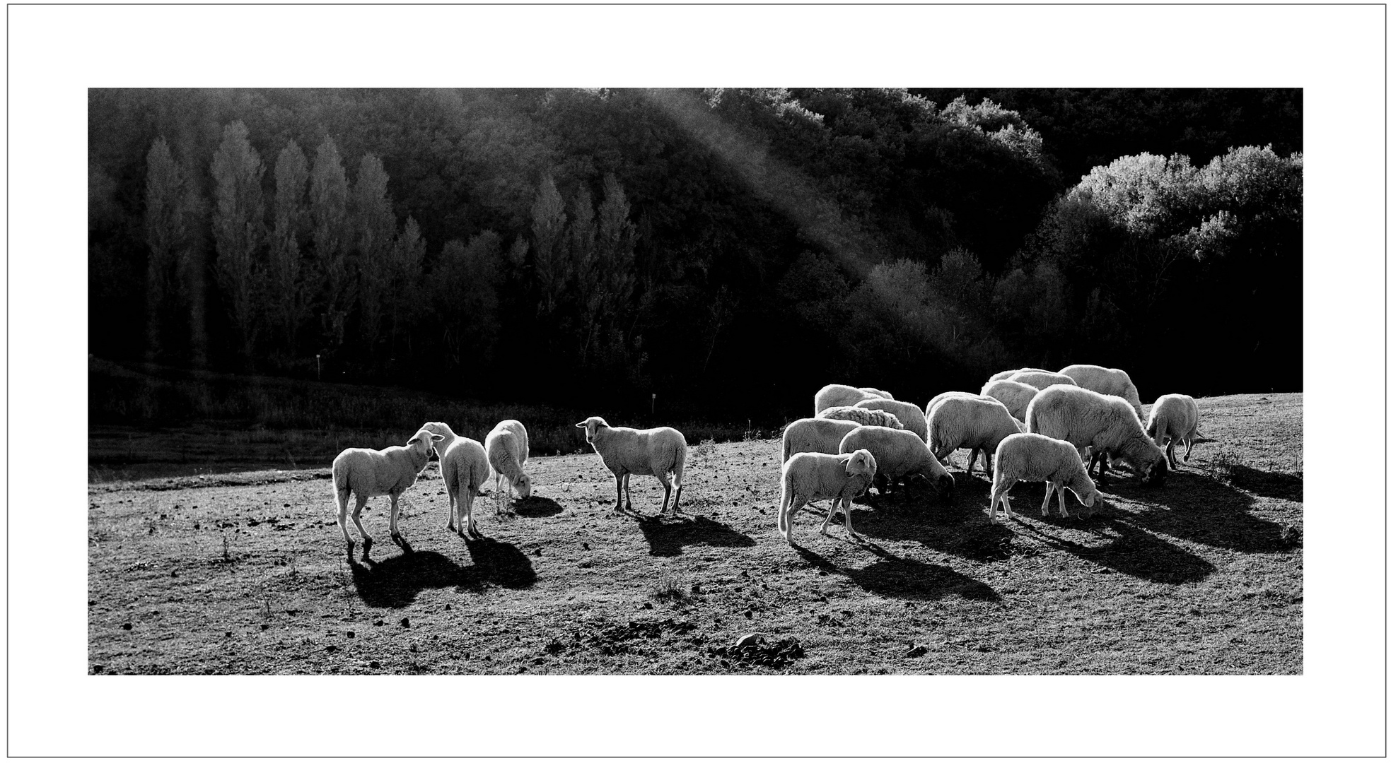 Ultimo pasto prima del rientro.