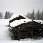 ULTIMO RIFUGIO