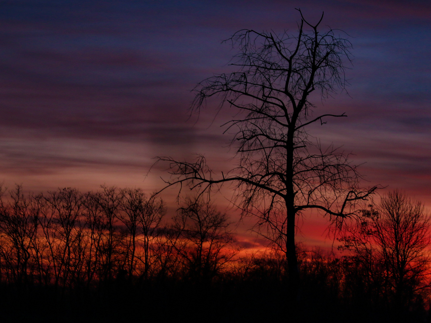 Ultimo tramonto 2019